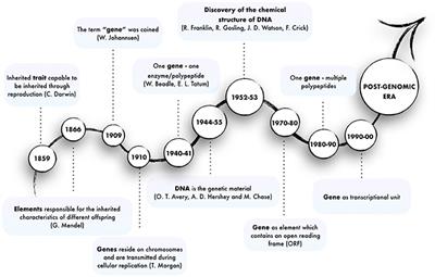 Frontiers | The Ever-Evolving Concept of the Gene: The Use of RNA ...