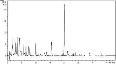 Frontiers | Phytochemical Composition, Antioxidant, Antimicrobial and ...