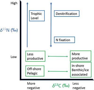 Stable isotopes in ecosystem studies