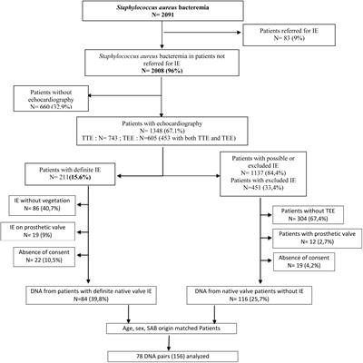 Frontiers | Human Genetic Susceptibility to Native Valve Staphylococcus ...