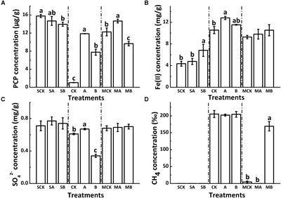 Frontiers Typical Soil Redox Processes In Pentachlorophenol Polluted Soil Following Biochar Addition Microbiology