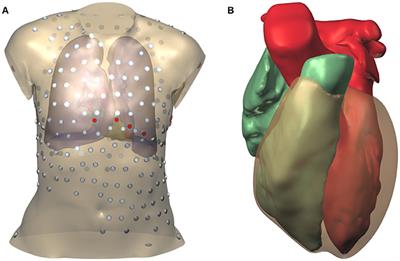 Frontiers Scalable And Accurate Ecg Simulation For Reaction Diffusion Models Of The Human Heart Physiology