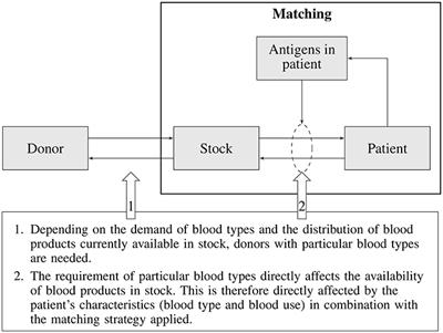 Frontiers A Conceptual Framework For Optimizing Blood Matching Strategies Balancing Patient Complications Against Total Costs Incurred Medicine