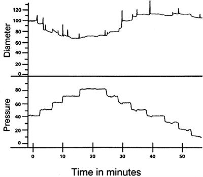 Frontiers | Role of Coronary Myogenic Response in Pressure-Flow ...