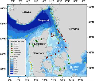 Frontiers | Population Wide Decline in Somatic Growth in Harbor Seals ...