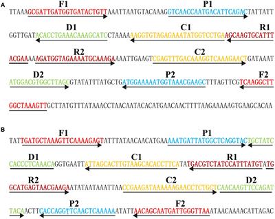 Contamination-pipetting: relative efficiency of filter tips compared to  Microman® positive displacement pipette