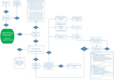 Frontiers Stereotactic Radiosurgery In The Management Of Patients With Brain Metastases Of Non Small Cell Lung Cancer Indications Decision Tools And Future Directions Oncology