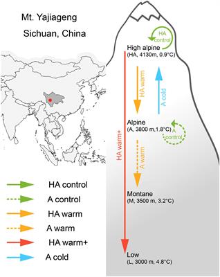 Frontiers Plastic Population Effects And Conservative Leaf Traits In A Reciprocal Transplant Experiment Simulating Climate Warming In The Himalayas Plant Science