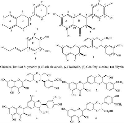 Frontiers Anti Parkinson Potential Of Silymarin Mechanistic Insight And Therapeutic Standing Pharmacology