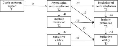 Frontiers The Importance Of Coaches Autonomy Support In The Leisure Experience And Well Being Of Young Footballers Psychology