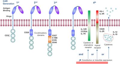 Frontiers | Perspectives on Chimeric Antigen Receptor T-Cell ...