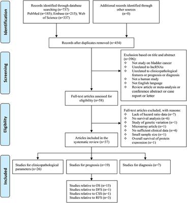 Frontiers | Clinical Values of Long Non-coding RNAs in Bladder Cancer ...