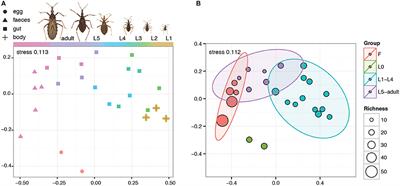 Frontiers | Microbiomes of North American Triatominae: The Grounds for ...