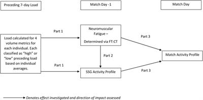 Frontiers | A Standardized Small Sided Game Can Be Used to Monitor ...