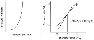 Frontiers | Arterial Stiffness: A Prognostic Marker in Coronary Heart ...