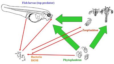 live feed in aquaculture