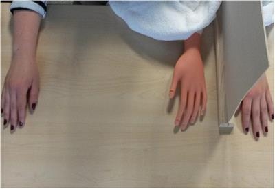 Frontiers Mechanical Pain Thresholds And The Rubber Hand Illusion Psychology