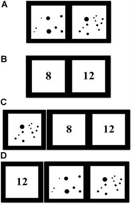 Frontiers Children S Non Symbolic And Symbolic Numerical Representations And Their Associations With Mathematical Ability Psychology