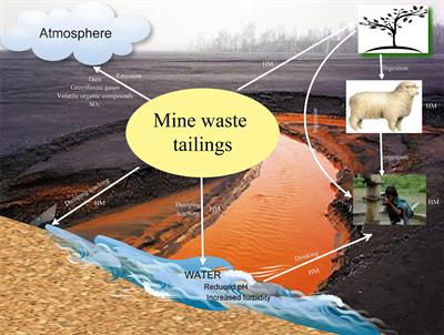 Frontiers | Sulfate-Reducing Bacteria as an Effective Tool for ...