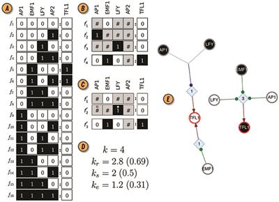 What is the meaning of the numerical value in the new Criticality Graph? .  - Chess Forums 