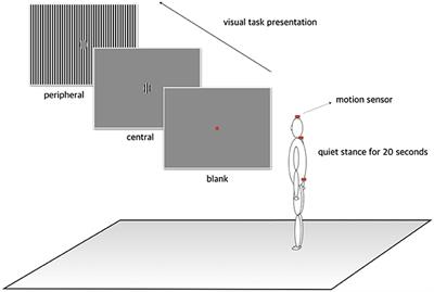 Frontiers | Postural Instability Induced by Visual Motion Stimuli in ...