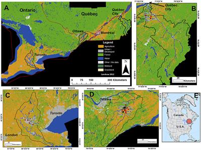 Frontiers Aquatic Bacterial Communities Associated With Land Use And Environmental Factors In Agricultural Landscapes Using A Metabarcoding Approach Microbiology - dbog stress test roblox