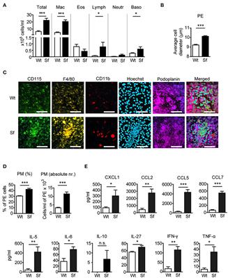 Frontiers | Absence of Regulatory T Cells Causes Phenotypic and ...