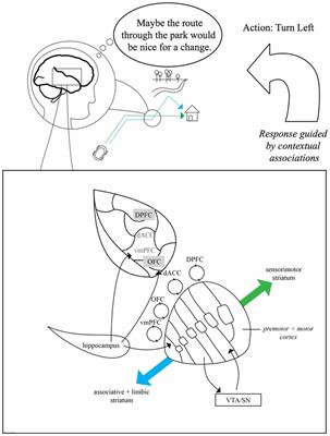 Associative and predictive hippocampal codes support memory-guided  behaviors