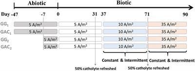 Frontiers Granular Carbon Based Electrodes As Cathodes In Methane Producing Bioelectrochemical Systems Bioengineering And Biotechnology