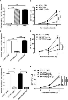 Frontiers | NAD-Glycohydrolase Depletes Intracellular NAD+ and Inhibits ...