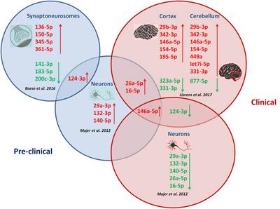 Frontiers Microrna Alterations In The Brain And Body Fluids Of Humans And Animal Prion Disease Models Current Status And Perspectives Frontiers In Aging Neuroscience