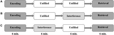 Frontiers | Differential Effect of Retroactive Interference on Object ...
