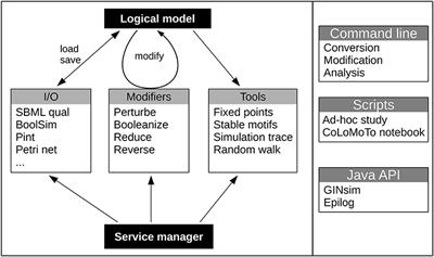 Frontiers Biolqm A Java Toolkit For The Manipulation And Conversion Of Logical Qualitative Models Of Biological Networks Physiology