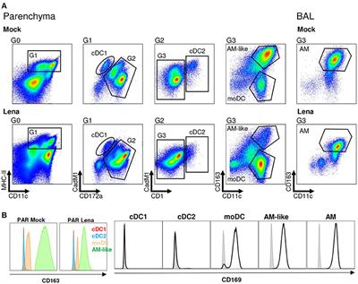 Frontiers | Porcine Reproductive and Respiratory Syndrome Virus Type 1. ...