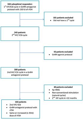 Frontiers | The Effect of Dose Adjustments in a Subsequent Cycle of ...