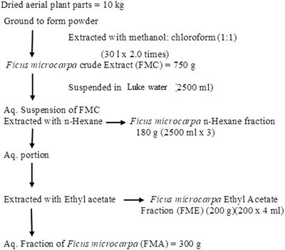 Frontiers A Multi Mode Bioactive Agent Isolated From Ficus Microcarpa L Fill With Therapeutic Potential For Type 2 Diabetes Mellitus Pharmacology