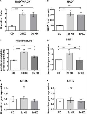 Frontiers | Ketogenic Diet Modulates NAD+-Dependent Enzymes and Reduces ...