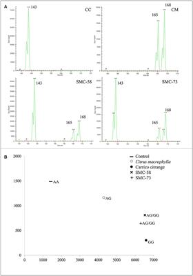 Frontiers Molecular Characterization And Stress Tolerance - 