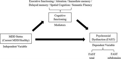 Frontiers | Executive Function and Spatial Cognition Mediate ...