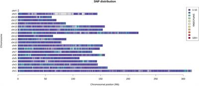 Frontiers Genome Wide Identification And Comprehensive Analyses Of