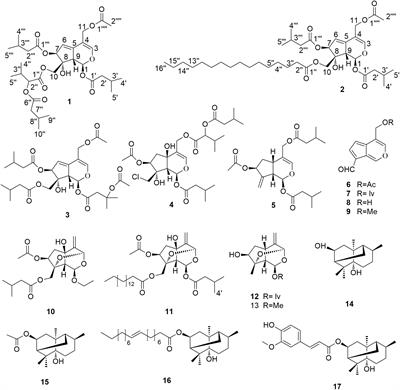 Frontiers Valepotriates From The Roots And Rhizomes Of Valeriana Jatamansi Jones As Novel N Type Calcium Channel Antagonists Pharmacology