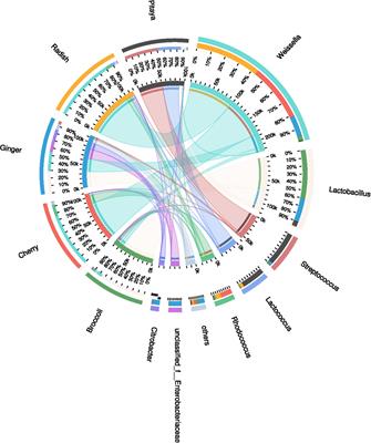 Frontiers | Characterization of Diversity and Probiotic Efficiency of ...