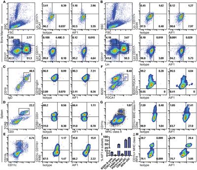 Frontiers | Allograft Inflammatory Factor-1 Governs Hematopoietic Stem ...