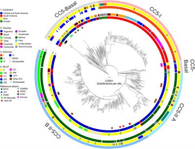 The evolution of Staphylococcus aureus