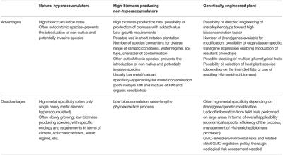 Frontiers Phytoextraction Of Heavy Metals A Promising Tool For Clean Up Of Polluted Environment Plant Science