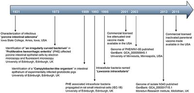 Frontiers | Lawsonia intracellularis: Revisiting the Disease Ecology ...