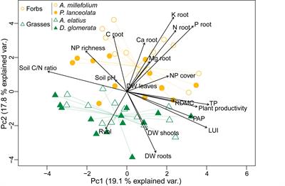 Frontiers Land Use Intensity Rather Than Plant Functional Identity Shapes Bacterial And Fungal Rhizosphere Communities Microbiology