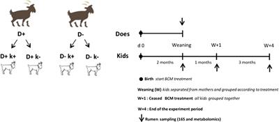 Frontiers | Analysis of the Rumen Microbiome and Metabolome to Study ...