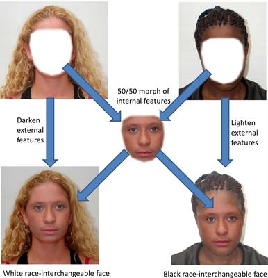 different races face