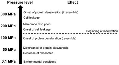 Frontiers Sublethal Injury And Viable But Non Culturable Vbnc State In Microorganisms During Preservation Of Food And Biological Materials By Non Thermal Processes Microbiology